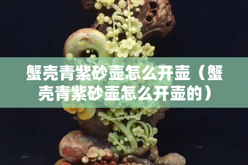 蟹殼青紫砂壺怎么開壺（蟹殼青紫砂壺怎么開壺的）