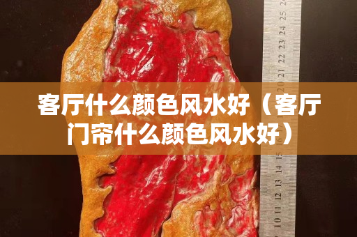 客廳什么顏色風水好（客廳門簾什么顏色風水好）