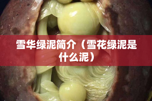 雪華綠泥簡介（雪花綠泥是什么泥）