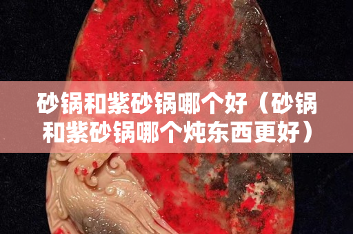 砂鍋和紫砂鍋哪個好（砂鍋和紫砂鍋哪個燉東西更好）