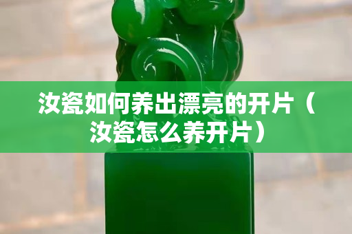 汝瓷如何養(yǎng)出漂亮的開片（汝瓷怎么養(yǎng)開片）