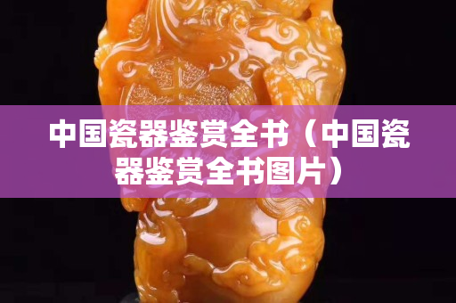 中國瓷器鑒賞全書（中國瓷器鑒賞全書圖片）