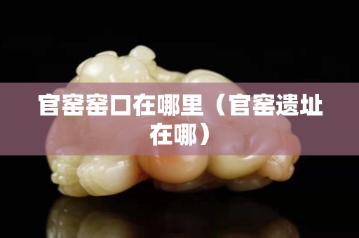 官窯窯口在哪里（官窯遺址在哪）