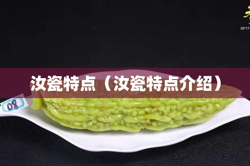 汝瓷特點（汝瓷特點介紹）