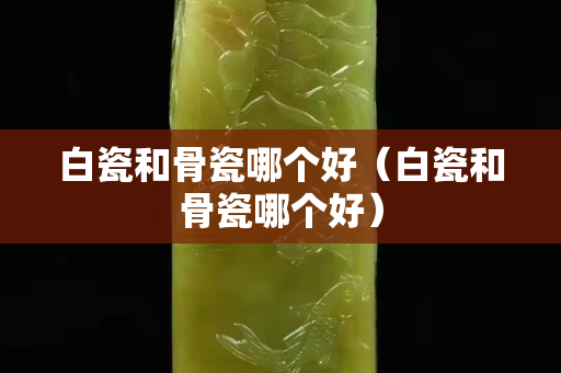 白瓷和骨瓷哪個好（白瓷和骨瓷哪個好）