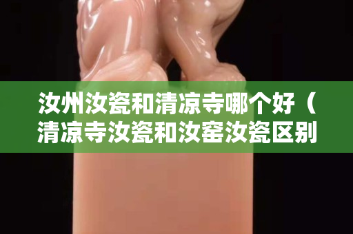 汝州汝瓷和清涼寺哪個好（清涼寺汝瓷和汝窯汝瓷區別）