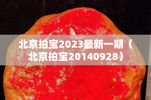 北京拍寶2023最新一期（北京拍寶20140928）