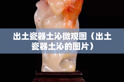出土瓷器土沁微觀圖（出土瓷器土沁的圖片）