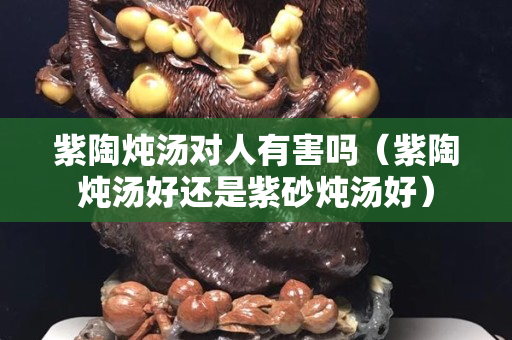 紫陶燉湯對人有害嗎（紫陶燉湯好還是紫砂燉湯好）