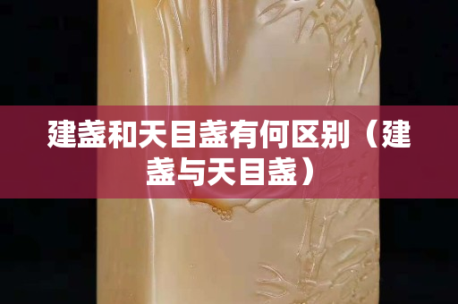 建盞和天目盞有何區別（建盞與天目盞）