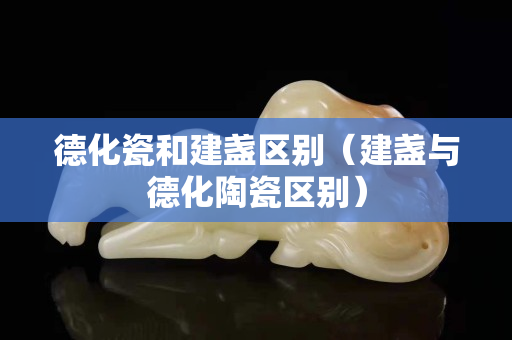 德化瓷和建盞區別（建盞與德化陶瓷區別）