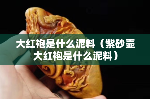 大紅袍是什么泥料（紫砂壺大紅袍是什么泥料）