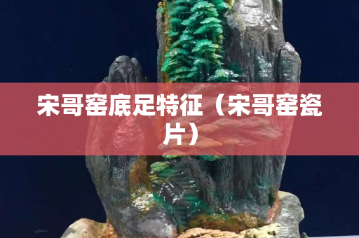 宋哥窯底足特征（宋哥窯瓷片）