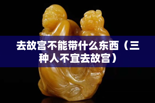 去故宮不能帶什么東西（三種人不宜去故宮）
