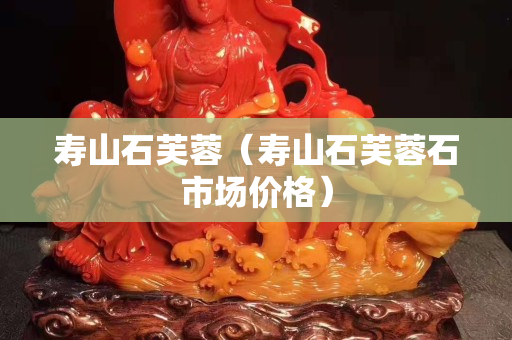 壽山石芙蓉（壽山石芙蓉石市場價格）
