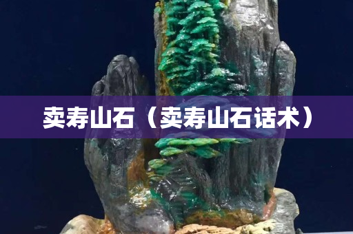 賣壽山石（賣壽山石話術）