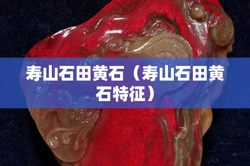 壽山石田黃石（壽山石田黃石特征）