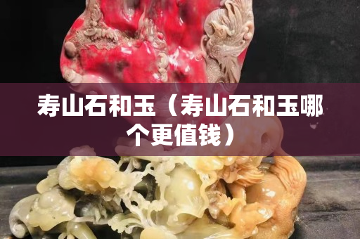 壽山石和玉（壽山石和玉哪個更值錢）