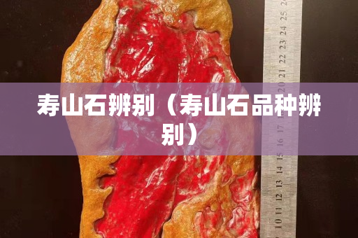 壽山石辨別（壽山石品種辨別）