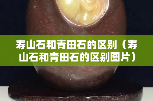 壽山石和青田石的區(qū)別（壽山石和青田石的區(qū)別圖片）