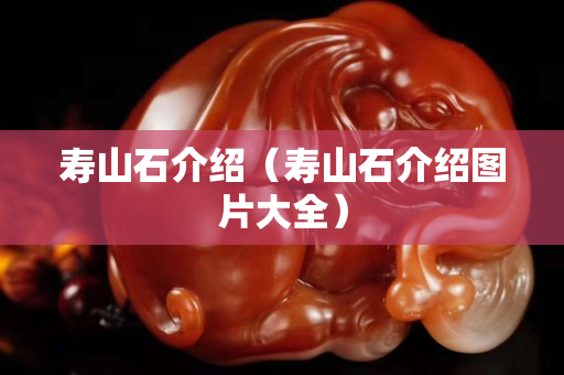 壽山石介紹（壽山石介紹圖片大全）