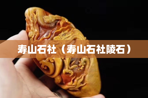 壽山石社（壽山石社陵石）