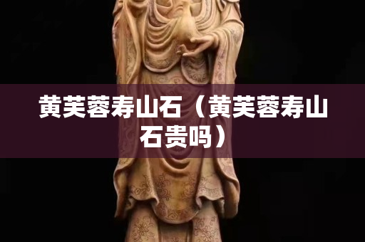 黃芙蓉壽山石（黃芙蓉壽山石貴嗎）