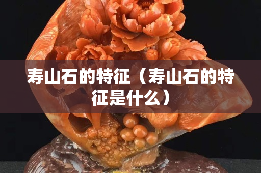 壽山石的特征（壽山石的特征是什么）