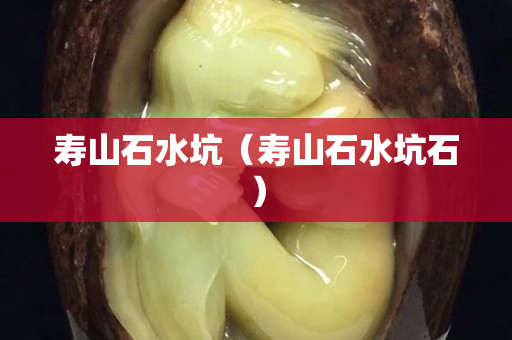 壽山石水坑（壽山石水坑石）