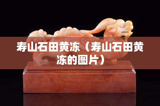 壽山石田黃凍（壽山石田黃凍的圖片）