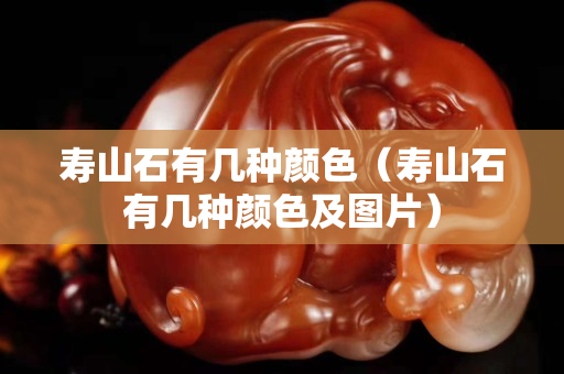 壽山石有幾種顏色（壽山石有幾種顏色及圖片）