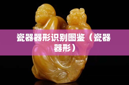 瓷器器形識別圖鑒（瓷器 器形）