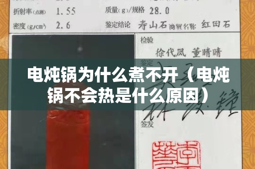 電燉鍋為什么煮不開（電燉鍋不會熱是什么原因）