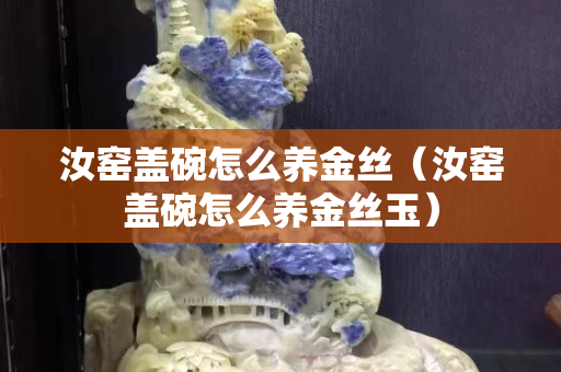 汝窯蓋碗怎么養金絲（汝窯蓋碗怎么養金絲玉）