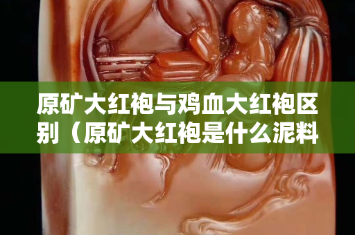 原礦大紅袍與雞血大紅袍區別（原礦大紅袍是什么泥料）