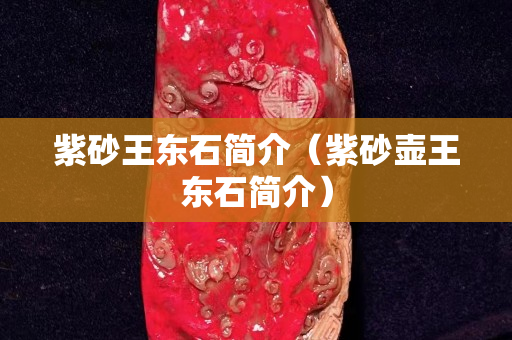 紫砂王東石簡介（紫砂壺王東石簡介）