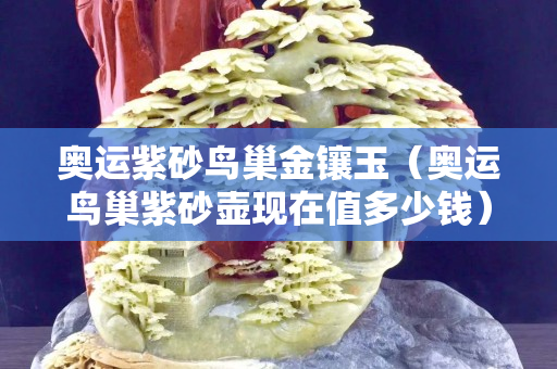 奧運(yùn)紫砂鳥(niǎo)巢金鑲玉（奧運(yùn)鳥(niǎo)巢紫砂壺現(xiàn)在值多少錢）