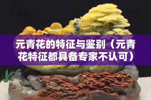 元青花的特征與鑒別（元青花特征都具備專家不認可）
