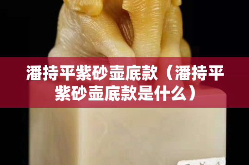 潘持平紫砂壺底款（潘持平紫砂壺底款是什么）