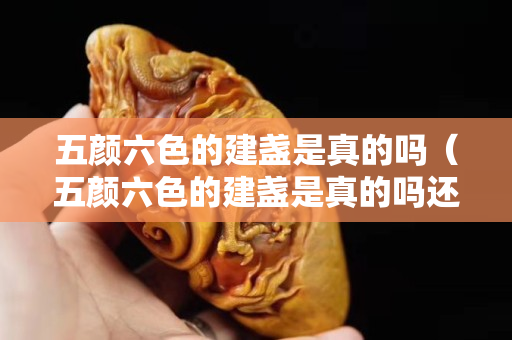 五顏六色的建盞是真的嗎（五顏六色的建盞是真的嗎還是假的）