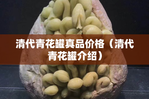 清代青花罐真品價格（清代青花罐介紹）