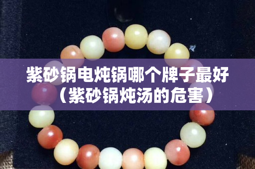 紫砂鍋電燉鍋哪個牌子最好（紫砂鍋燉湯的危害）