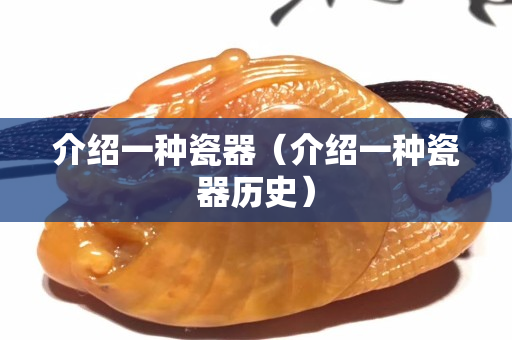 介紹一種瓷器（介紹一種瓷器歷史）