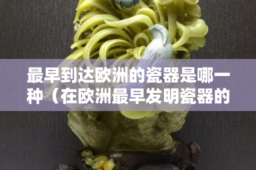 最早到達(dá)歐洲的瓷器是哪一種（在歐洲最早發(fā)明瓷器的是誰(shuí)）