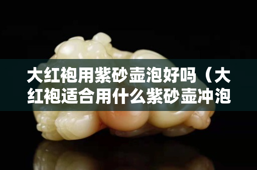 大紅袍用紫砂壺泡好嗎（大紅袍適合用什么紫砂壺沖泡）