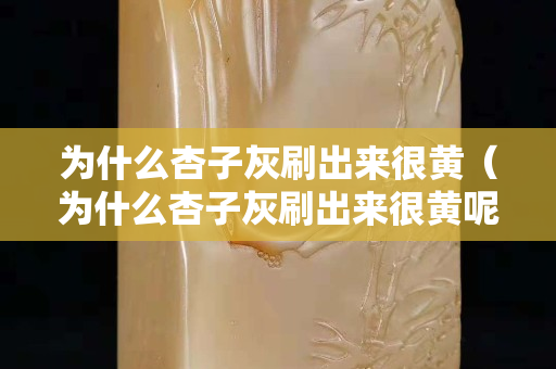 為什么杏子灰刷出來很黃（為什么杏子灰刷出來很黃呢）