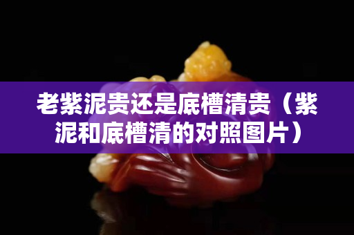 老紫泥貴還是底槽清貴（紫泥和底槽清的對(duì)照?qǐng)D片）