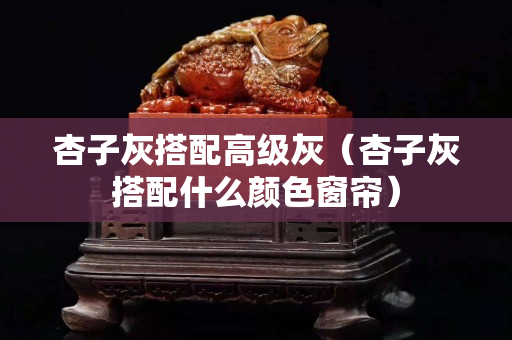 杏子灰搭配高級灰（杏子灰搭配什么顏色窗簾）