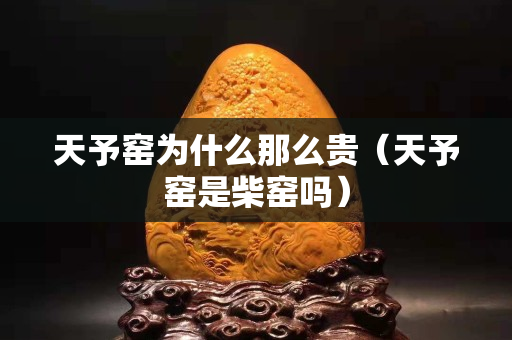 天予窯為什么那么貴（天予窯是柴窯嗎）
