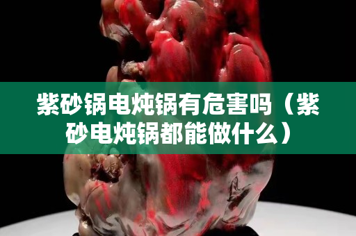 紫砂鍋電燉鍋有危害嗎（紫砂電燉鍋都能做什么）